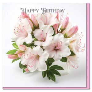 Birthday Card - 1 John 3:1
