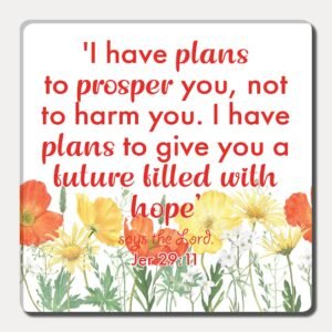 I have plans - Fridge magnet