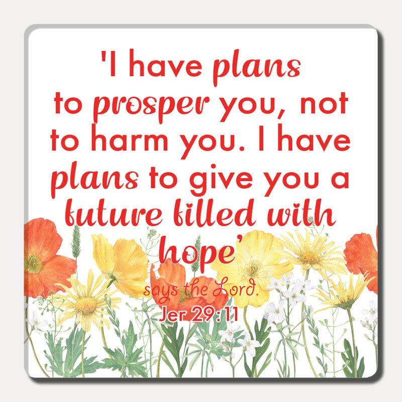 I have plans - Fridge magnet