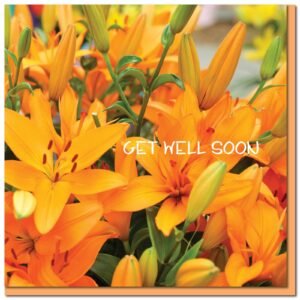 Get well Card - Psalm 41:3
