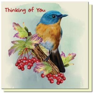 Thinking of You - Romans 15:14