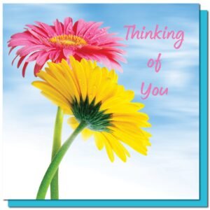 Thinking of You - Psalm 89:19