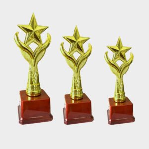 Fiber Trophies FB1210 FG