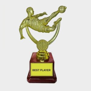 Fiber Trophies FB413 Football