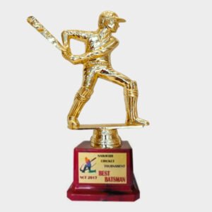 Fiber Trophies FB417 Cricket