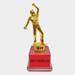 Fiber Trophies FB418  Cricket