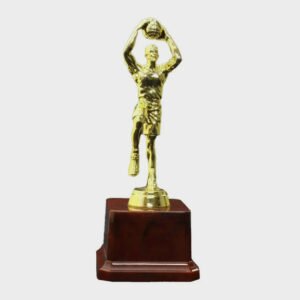 Fiber Trophies FB426 Vollyball