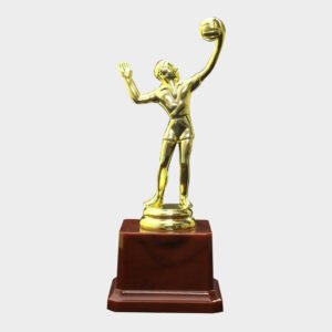 Fiber Trophies FB427  Vollyball