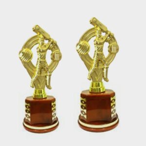 Fiber Trophies