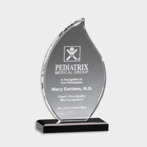Crystal and Acrylic Trophies ACR1120