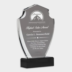 Crystal and Acrylic Trophies ACR1121