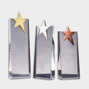 Crystal and Acrylic Trophies ACR1117