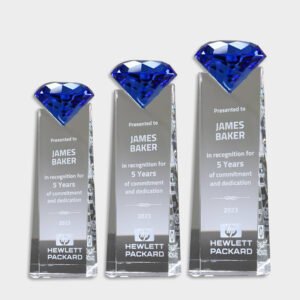Crystal and Acrylic Trophies CRT137