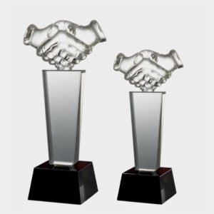 Crystal and Acrylic Trophies CRT248