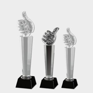 Crystal and Acrylic Trophies CRT251