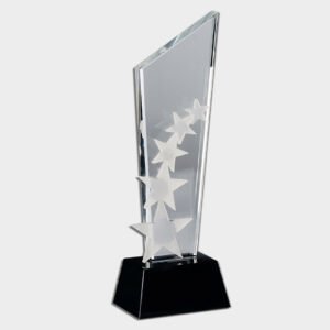 Crystal and Acrylic Trophies CRT264