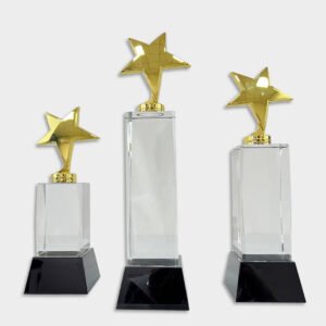 Crystal and Acrylic Trophies CRT45