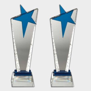 Crystal and Acrylic Trophies CRT479